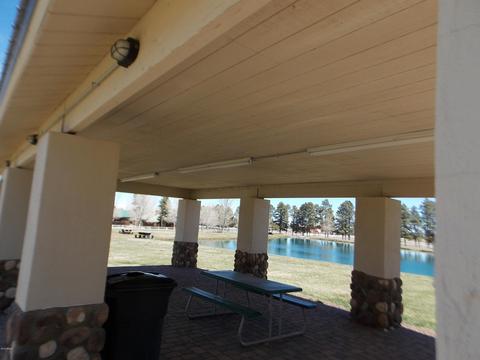 2679 Lodge Loop, Overgaard, AZ 85933 photo 43