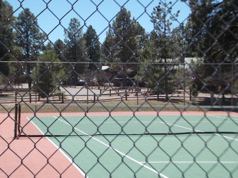 2679 Lodge Loop, Overgaard, AZ 85933 photo 38