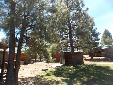 2679 Lodge Loop, Overgaard, AZ 85933 photo 31