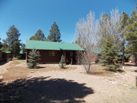 2679 Lodge Loop, Overgaard, AZ 85933 photo 34
