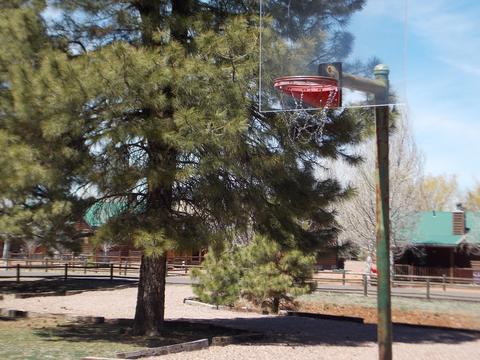 2679 Lodge Loop, Overgaard, AZ 85933 photo 39