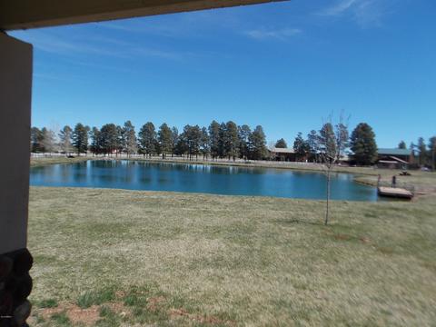 2679 Lodge Loop, Overgaard, AZ 85933 photo 44