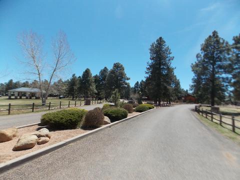 2679 Lodge Loop, Overgaard, AZ 85933 photo 35