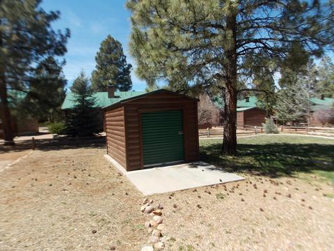 2679 Lodge Loop, Overgaard, AZ 85933 photo 25