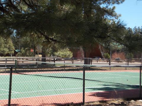 2679 Lodge Loop, Overgaard, AZ 85933 photo 40