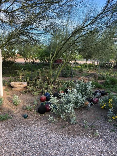 630 S Grand Dr, Apache Junction, AZ 85120 photo 26