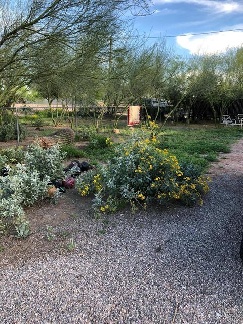 630 S Grand Dr, Apache Junction, AZ 85120 photo 21