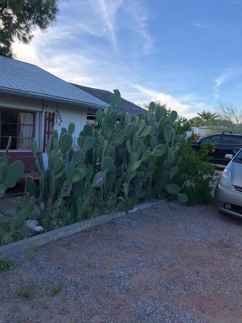 630 S Grand Dr, Apache Junction, AZ 85120 photo 25