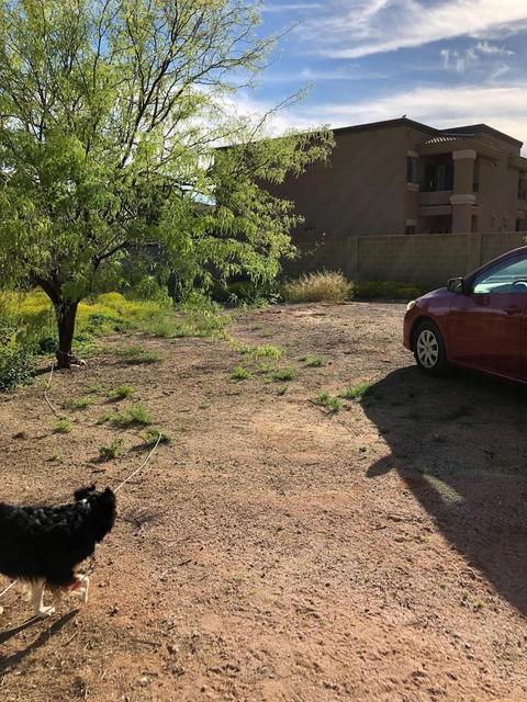 630 S Grand Dr, Apache Junction, AZ 85120 photo 27