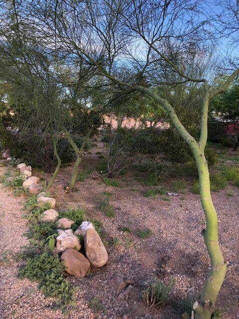 630 S Grand Dr, Apache Junction, AZ 85120 photo 22