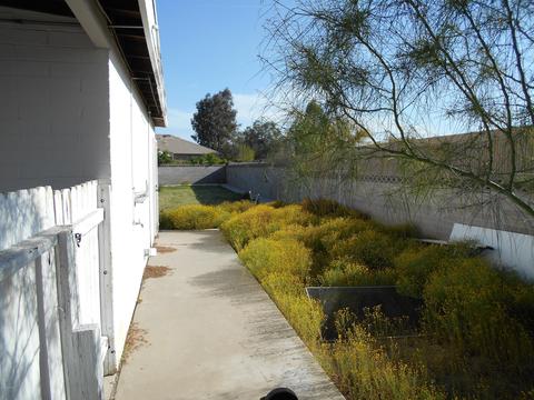 3339 E Cholla St, Phoenix, AZ 85028 photo 31