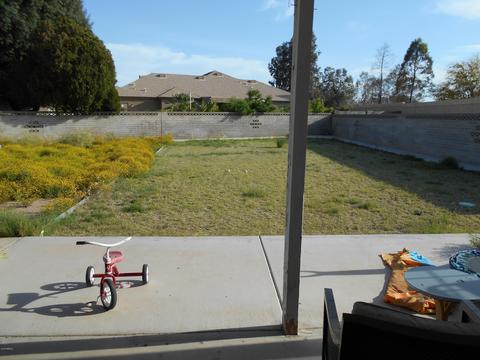 3339 E Cholla St, Phoenix, AZ 85028 photo 28