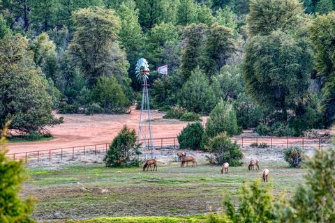 191 White Dr, Payson, AZ 85541 photo 51