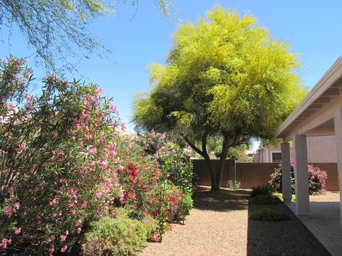 3530 E Remington Dr, Gilbert, AZ 85297 photo 55