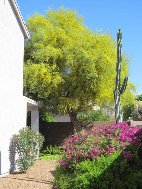 3530 E Remington Dr, Gilbert, AZ 85297 photo 64