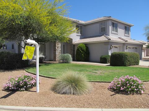3530 E Remington Dr, Gilbert, AZ 85297 photo 3