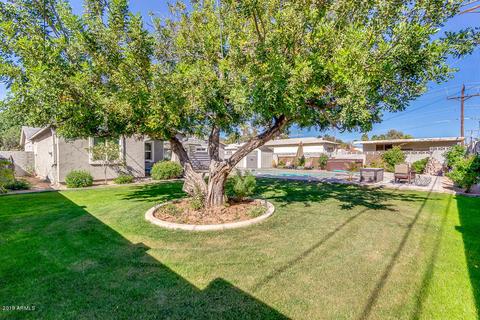 2541 E Fairmount Ave, Phoenix, AZ 85016 photo 45