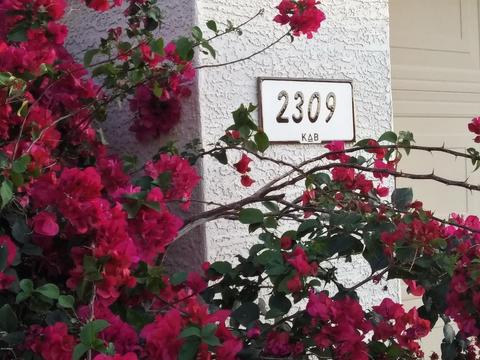 2309 W 22nd Ave, Apache Junction, AZ 85120 photo 2