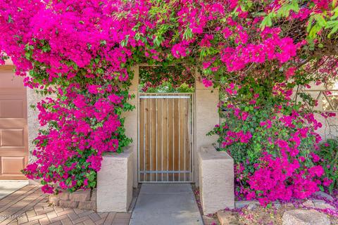 4118 E Covina St E, Mesa, AZ 85205 photo 2