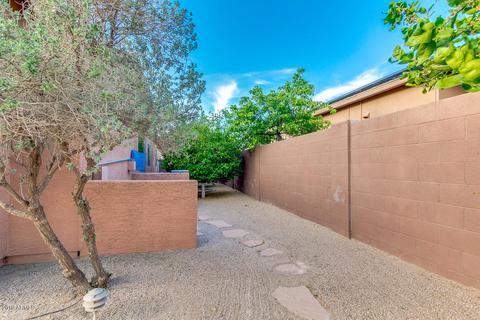 9713 E Lobo Ave, Mesa, AZ 85209 photo 60