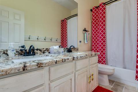9713 E Lobo Ave, Mesa, AZ 85209 photo 35