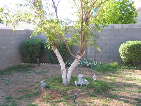 7436 E Navarro Ave, Mesa, AZ 85209 photo 23
