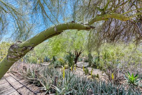 3720 E Hatcher Rd, Phoenix, AZ 85028 photo 39