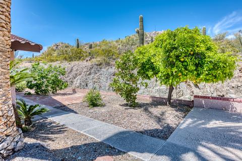 3720 E Hatcher Rd, Phoenix, AZ 85028 photo 33