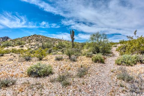 3720 E Hatcher Rd, Phoenix, AZ 85028 photo 35