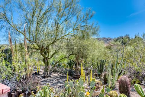 3720 E Hatcher Rd, Phoenix, AZ 85028 photo 40