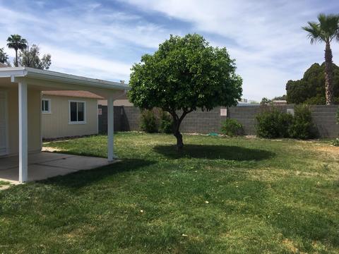 3834 E Hearn Rd, Phoenix, AZ 85032 photo 4