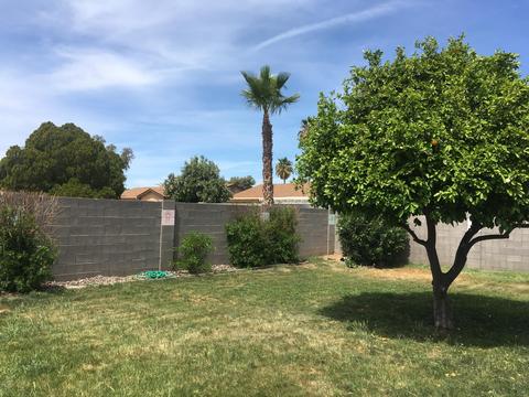 3834 E Hearn Rd, Phoenix, AZ 85032 photo 9