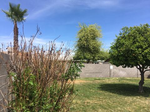 3834 E Hearn Rd, Phoenix, AZ 85032 photo 8