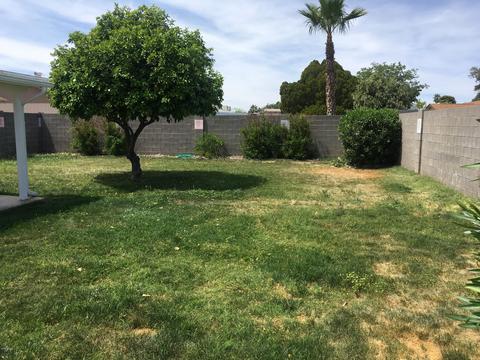 3834 E Hearn Rd, Phoenix, AZ 85032 photo 7