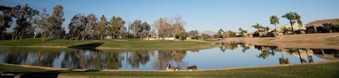9423 E Natal Ave, Mesa, AZ 85209 photo 46