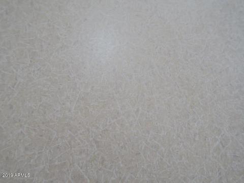 10442 E Butte St, Apache Junction, AZ 85120 photo 46