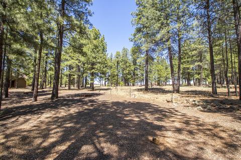 2500 Te Mccullough --, Flagstaff, AZ 86005 photo 14