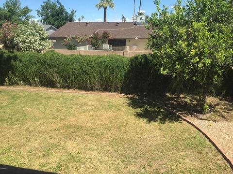 3438 W Crocus Dr, Phoenix, AZ 85053 photo 27