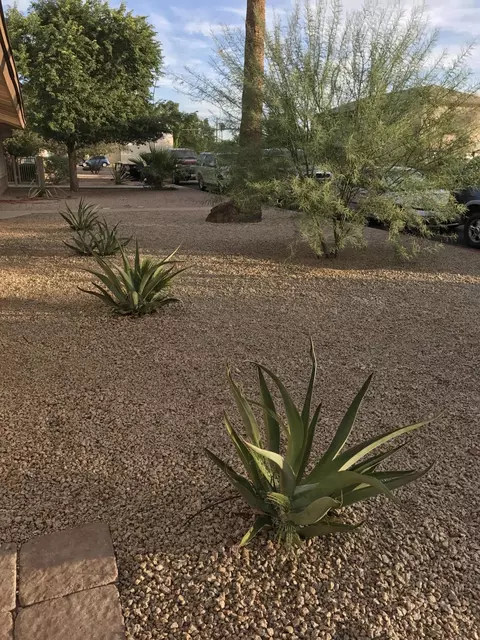 422 S Hall --, Mesa, AZ 85204 photo 4