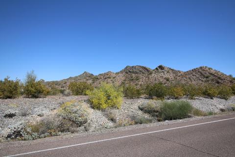 1239 E Griswold Rd, Phoenix, AZ 85020 photo 10