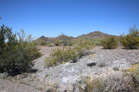 1239 E Griswold Rd, Phoenix, AZ 85020 photo 11
