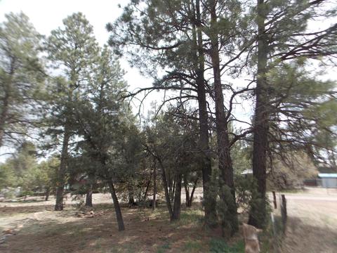 2881 Center Rd, Overgaard, AZ 85933 photo 18