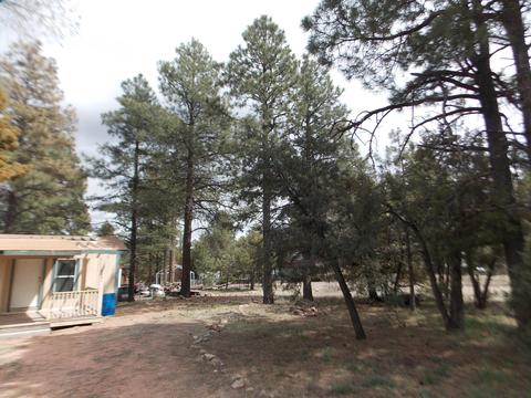 2881 Center Rd, Overgaard, AZ 85933 photo 19