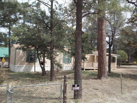 2881 Center Rd, Overgaard, AZ 85933 photo 1