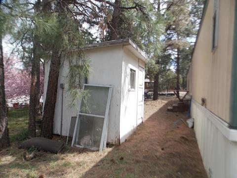 2881 Center Rd, Overgaard, AZ 85933 photo 17
