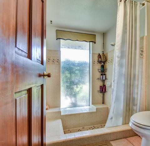 2058 E Downing St, Mesa, AZ 85213 photo 49