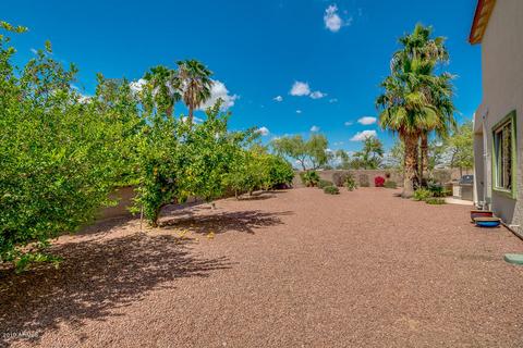 10528 E Olla Ave, Mesa, AZ 85212 photo 38