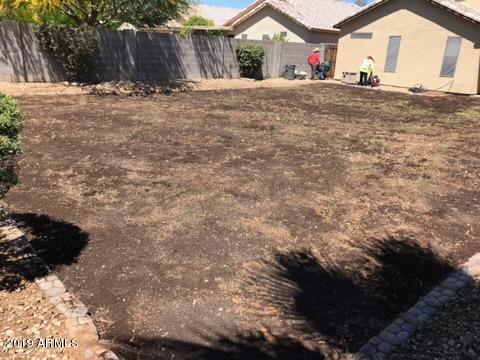 2013 W Townley Ave, Phoenix, AZ 85021 photo 19