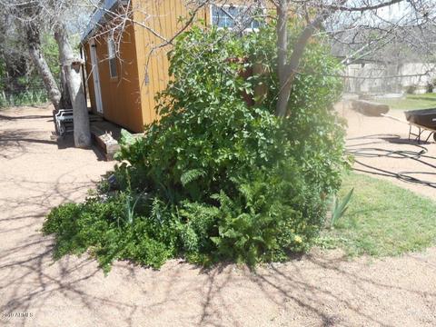 155 E Chuck Wagon Trl, Payson, AZ 85541 photo 8