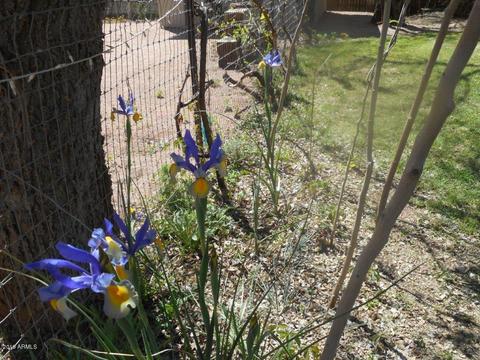 155 E Chuck Wagon Trl, Payson, AZ 85541 photo 7